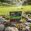 Larva Stoper – pożyteczne nicienie na pędraki i opuchlaki 50 mln nicieni Vegano