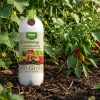 Biohumus Max uniwersalny nawóz do warzyw, owoców, roślin doniczkowych i trawnika – 1 l Target