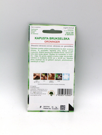 Brukselka Kapusta Brukselska ‘Groninger’ – 1 g Legutko