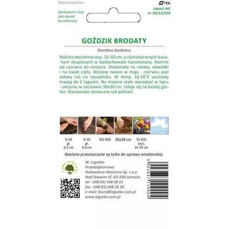 Goździk Brodaty – Mix Kolorów – Legutko