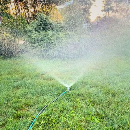 Zraszacz statyczny szpilka Green Star