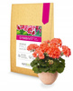 Symbivit mikoryza do kwiatów – 150 g Symbiom
