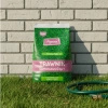 Trawnik samonawożący – nasiona traw z mikrokoniczyną 4 kg Vegano