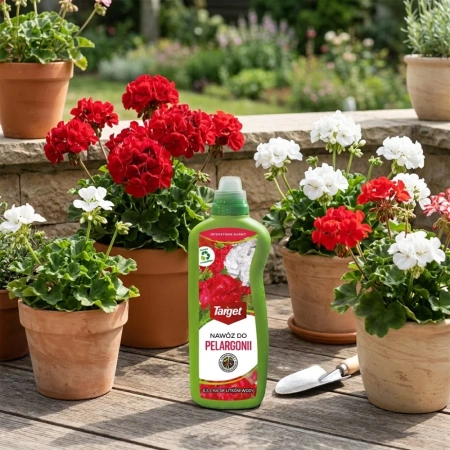 Nawóz do pelargonii w płynie – wzmacnia wybarwienie kwiatów – 1 l Target