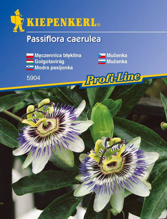 Passiflora Męczennica – Nasiona – Kiepenkerl