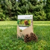 Mikoryza Ectovit – Do Iglaków – 100 g Symbiom