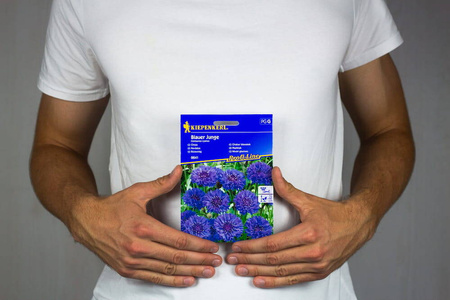 Chaber Bławatek 'Blauer Junge' – Kiepenkerl