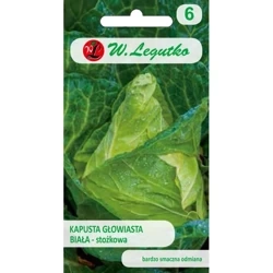 Kapusta Głowiasta Stożkowa – 1 g Legutko