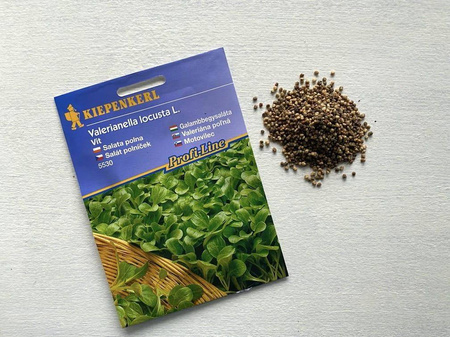 Roszponka Vit – Kiepenkerl