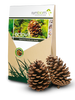 Mikoryza Ectovit – Do Iglaków – 100 g Symbiom