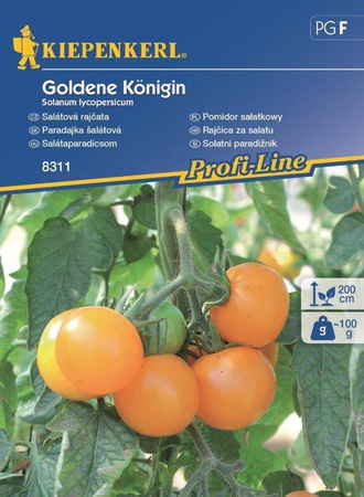 Pomidor 'Goldene Königin' – Pomarańczowy – Kiepenkerl