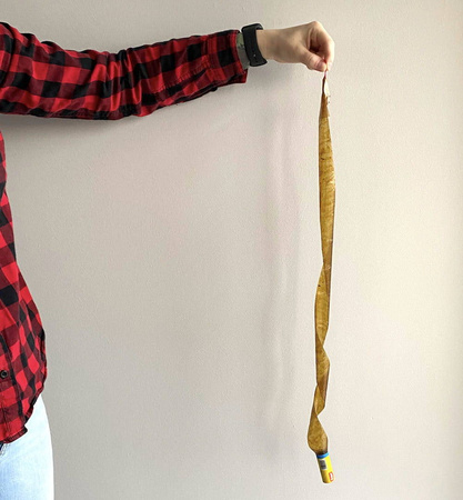 Lep Na Muchy – Taśma – 1 szt. Target