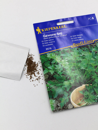 Seler Naciowy 'Gewone Snij' – Kiepenkerl