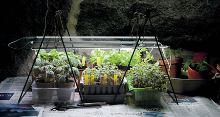 Lampa LED Do Doświetlania Roślin – 39 cm 15W Nelson Garden