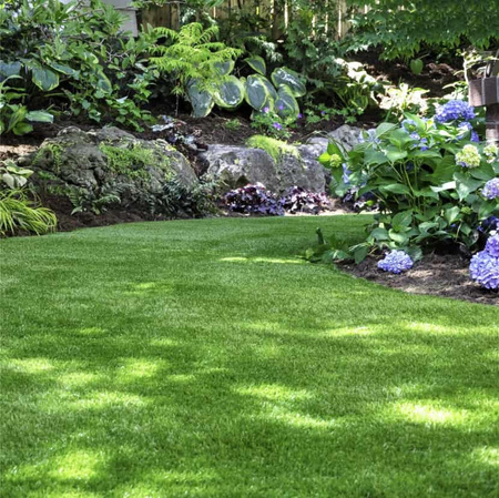 Wysokoazotowy nawóz do trawnika – Wspierany Naturą – 24 kg (3 x 8 kg) Vegano