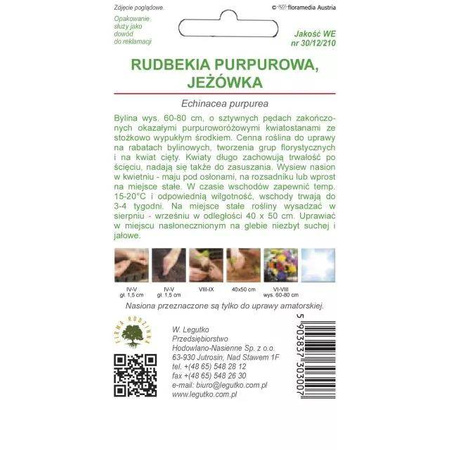 Jeżówka Purpurowa – Legutko