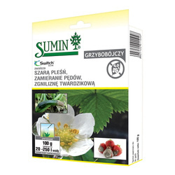 Switch 62,5 WG Zwalcza Zamieranie Pędów, Szarą Pleśń i Zgniliznę Twardzikową 100 g