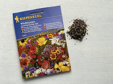 Dzikie Kwiaty Polne – Mix Nasion – Kiepenkerl