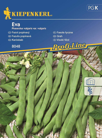 Fasola tyczna 'Eva' – Szparagowa – Kiepenkerl