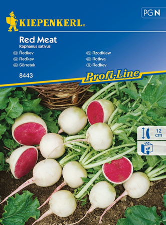 Rzodkiewka 'Red Meat' – Dwukolorowa – Kiepenkerl