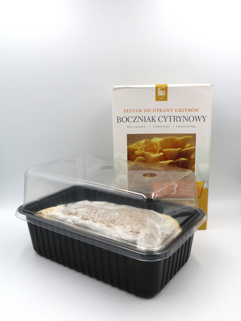 Boczniak Cytrynowy – Zestaw Do Uprawy Grzybów – 3 l Exotic Grow Planto