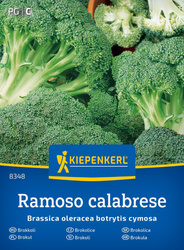 Brokuł 'Calabrese natalino' – Tradycyjny – Kiepenkerl