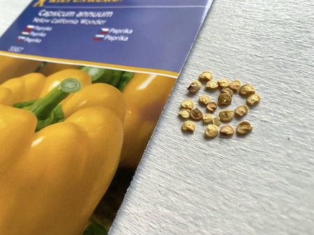 Papryka 'Yellow California Wonder' – Kiepenkerl