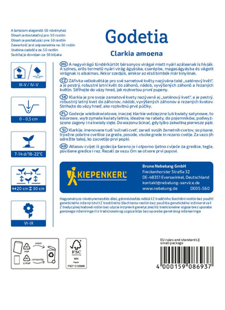 Godecja Godetia Kiepenkerl