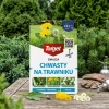 Starane Trawniki – Zwalcza Chwasty Na Trawniku – 100 ml Target