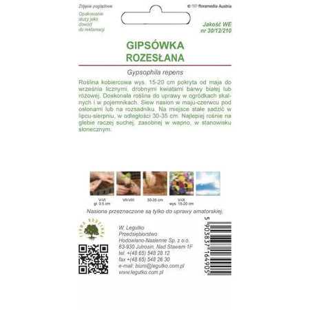  Gipsówka Rozesłana – Mix Kolorów – Legutko
