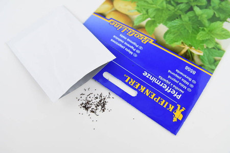 Mięta Pieprzowa – Wieloletnia – Kiepenkerl