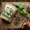 Żywe podłoże do monstery, filodendronów i roślin tropikalnych z dodatkiem Wermihumusu Vegano - 5 l 