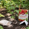 Nawóz do truskawek malin i poziomek z mikroelementami – 1 kg Target