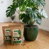 Żywe podłoże do monstery, filodendronów i roślin tropikalnych z dodatkiem Wermihumusu Vegano - 15 l (3 x 5 l)