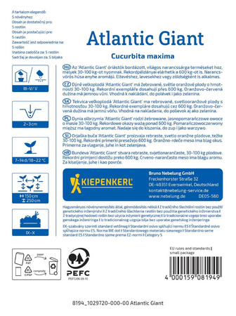 Dynia 'Atlantic Giant' – Olbrzymia – Kiepenkerl
