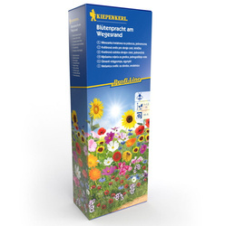 Łąka Kwietna – Na Pobocza – 40 g Kiepenkerl