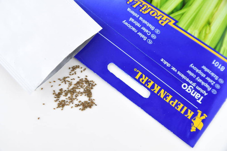 Seler Naciowy 'Tango' – Nasiona Kiepenkerl