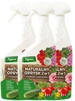 3 x 1 l