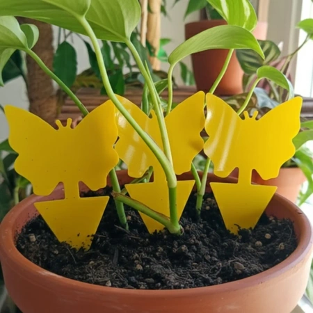 ZiemiórStop Lep na ziemiórki – 12 szt. Vegano