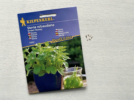 Stewia 'Sweet Honey' – Nasiona – Kiepenkerl