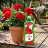 Nawóz do pelargonii i roślin balkonowych wspierający kwitnienie – 1 l Target