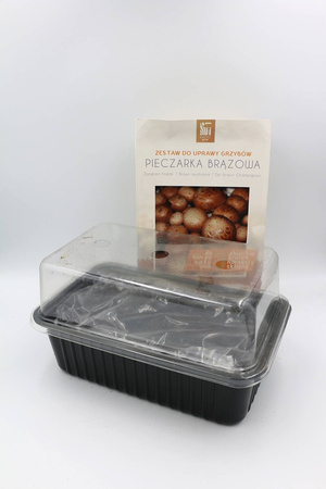 Pieczarka Brązowa – Zestaw Do Uprawy Grzybów – 3 l Exotic Grow Planto