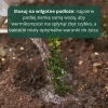Gleba Żywa (efekt pracy dżdżownic) wermikompost w płynie do warzyw, owoców, trawnika i roślin ozdobnych – 1 l Vegano