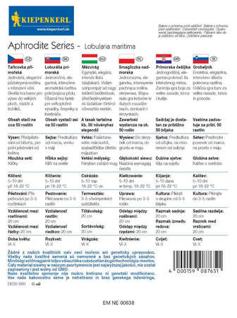 Smagliczka nadmorska Aphrodite Series Kiepenkerl