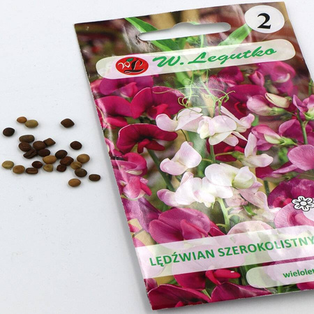 Lędźwian Szerokolistny – Mieszanka Różowa – 2 g Legutko