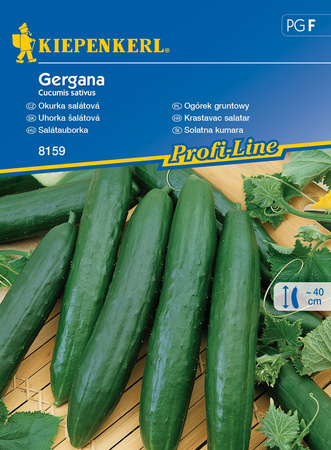 Ogórek Gruntowy 'Gergana' – Kiepenkerl