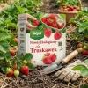 Ekologiczny nawóz do truskawek wspierający plonowanie i rozwój korzeni – 1 kg Target