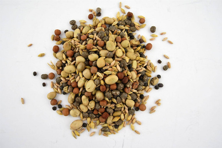 Mieszanka Strączkowo-Zbożowa POPLON – 1 kg Agro-Nas