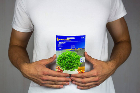 Bazylia Drobnolistna – Aromatyczna – Kiepenkerl