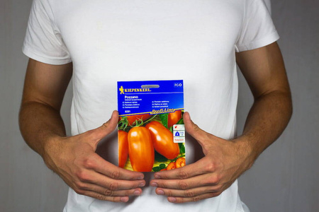 Pomidor Sałatkowy 'Pozzano' F1 – Kiepenkerl